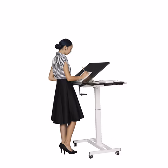 Quick Installation Color Customizable Manual Height Adjustable Hand Crank Standing Desk