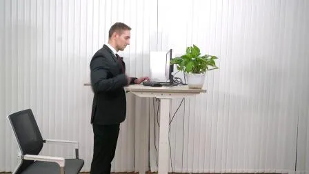 Ergonomic Office Furniture Electric Automatic Dual Motor Sit Stand Adjustable Standing Desk